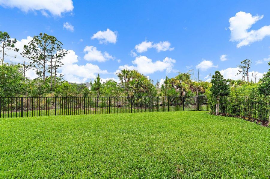 backyard backyard