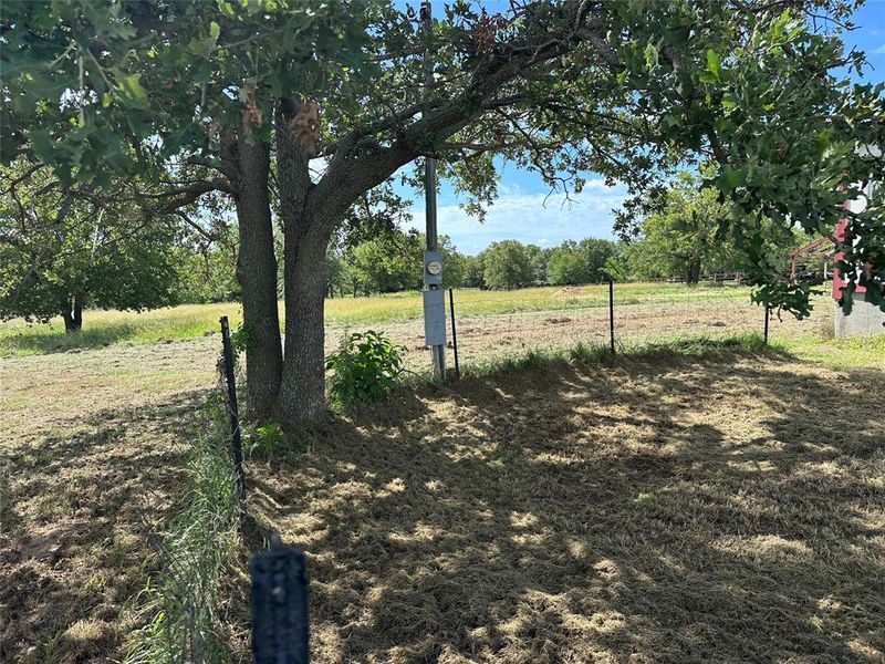 Mature tree providing natural shade, accompanied by a utility box and fencing, with expansive open land visible beyond Mature tree providing natural shade, accompanied by a utility box and fencing, with expansive open land visible beyond