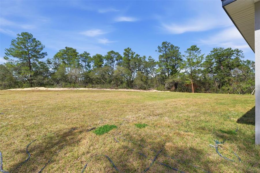 Exterior details and patio area of a home in , Ocala (Image 22).