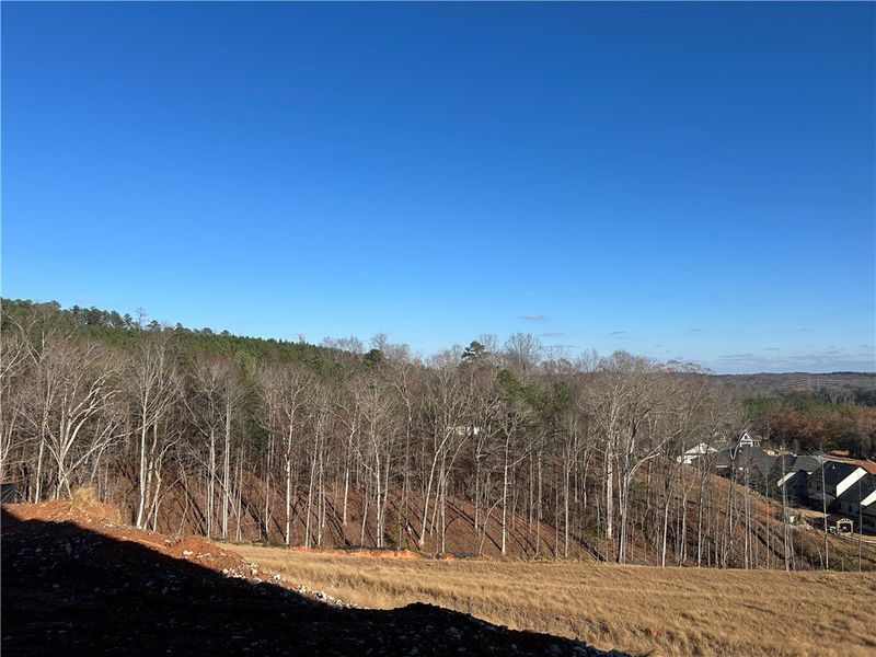 View from back patio