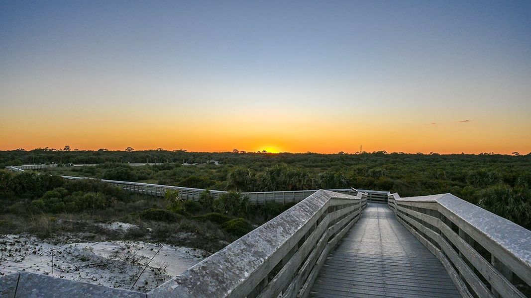 Natural landscape and outdoor views near Colbert Landings in Palm Coast (Image 77).