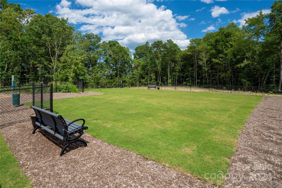 Autumn Brook Dog Park