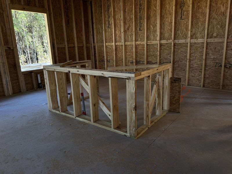 In-progress construction of a new home in Tea Farm: Presidents Series, Ravenel, SC (Image 71).