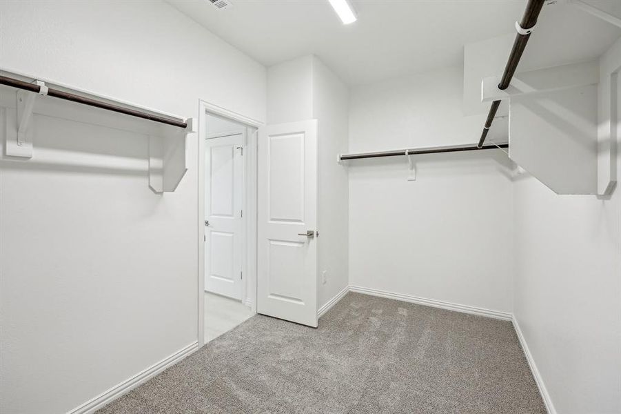 Primary Spacious closet featuring light carpet