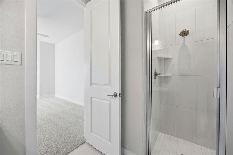 Image 38 of a home in Levante - 1 Acre Lots.