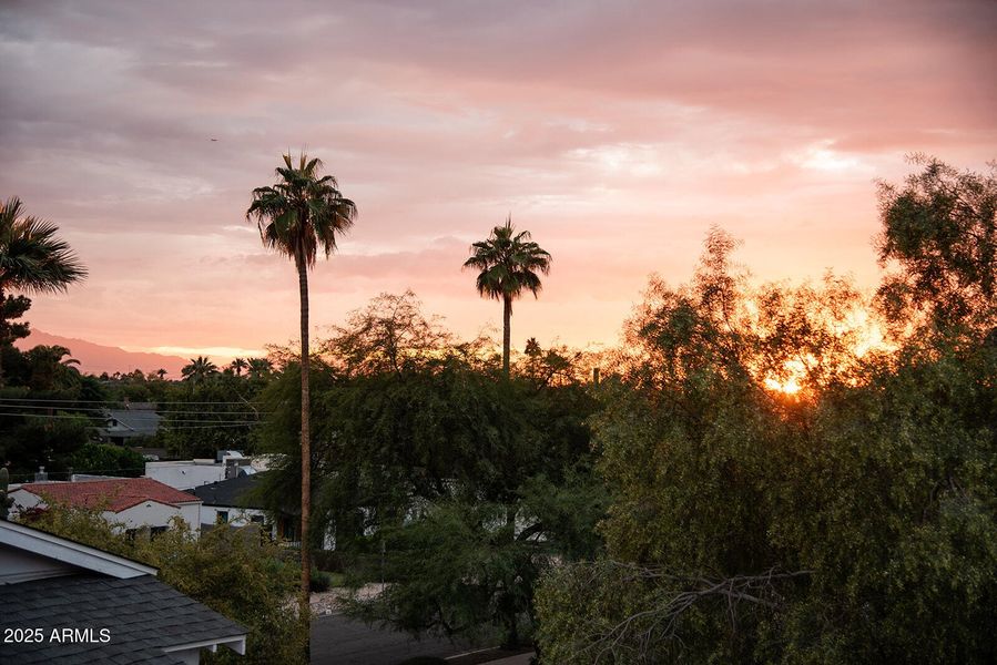 Sunset Rooftop Views