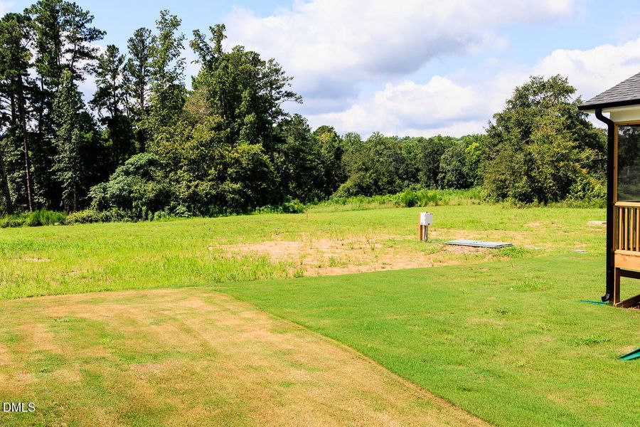 RDU_BeverlyPlace_Lot135_Redwood_QMI (7).