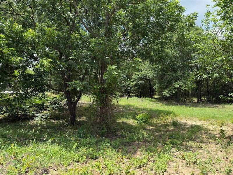 Natural landscape and outdoor views near in Ennis (Image 19). Natural landscape and outdoor views near in Ennis (Image 19).