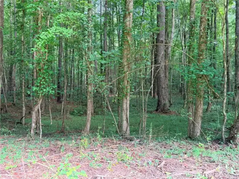 Natural landscape and outdoor views near in Talking Rock (Image 12). Natural landscape and outdoor views near in Talking Rock (Image 12).