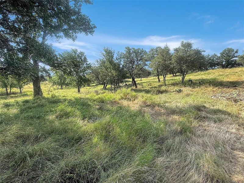 Natural landscape and outdoor views near  in Eastland (Image 27).