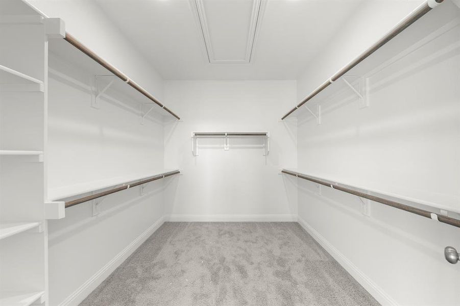 Larson @ 2520 Brunswick Way_Primary Closet