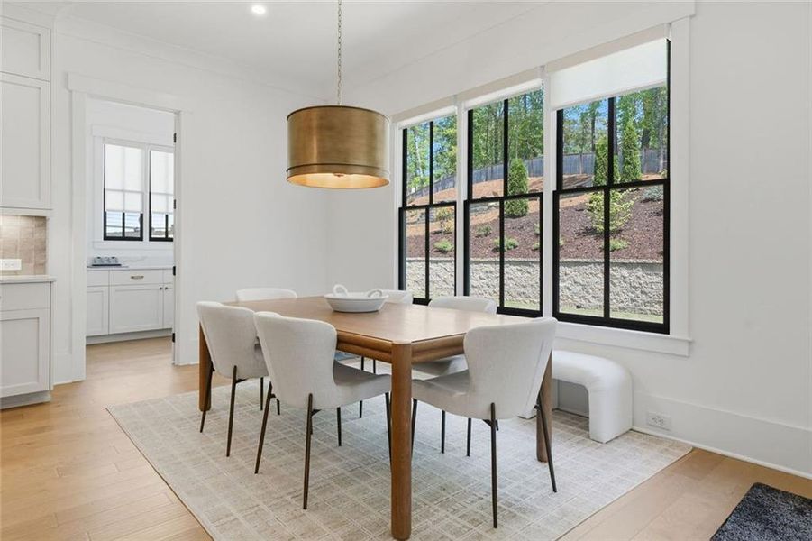 Furnished interior view inside a new home in Malone's Pond, Ball Ground (Image 35).