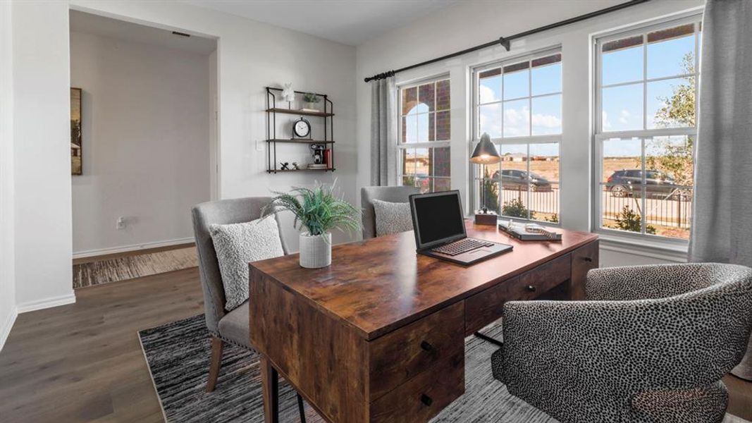 Spacious room featuring multiple large windows, wood-finish flooring, and a wide entryway