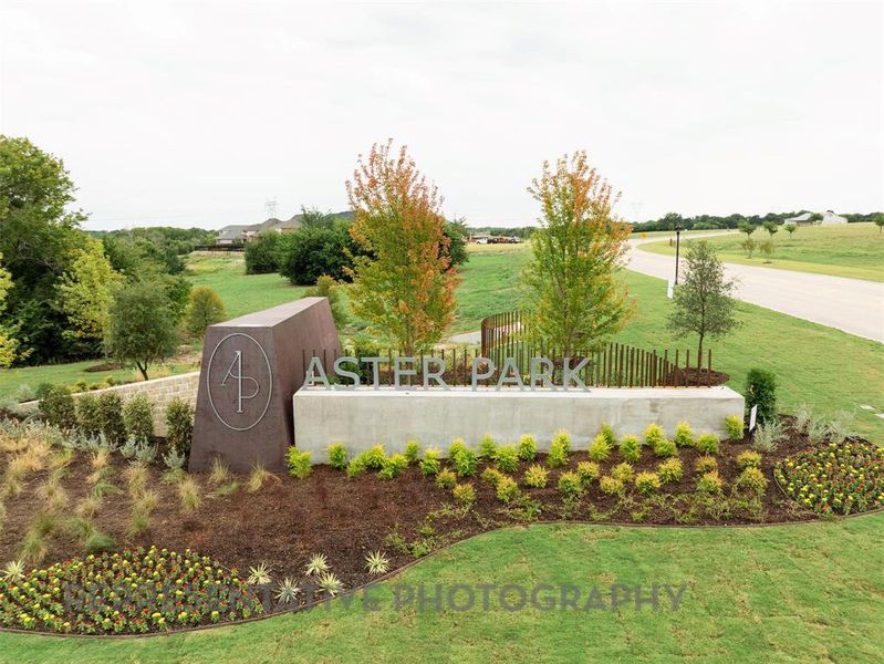 Front exterior of a new home in Aster Park: 40ft. lots, McKinney, TX, highlighting curb appeal (Image 19). Front exterior of a new home in Aster Park: 40ft. lots, McKinney, TX, highlighting curb appeal (Image 19).
