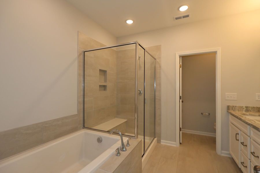 Owner's Bathroom