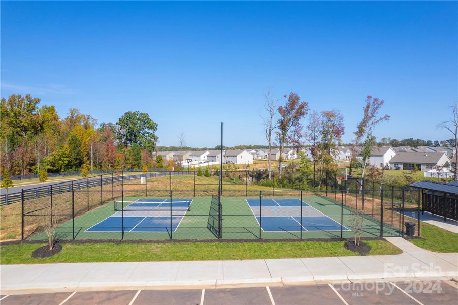 Pickleball Courts