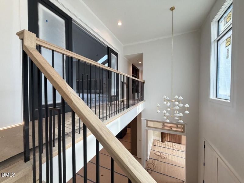 IMG_0045 (Medium) IMG_0045 (Medium)