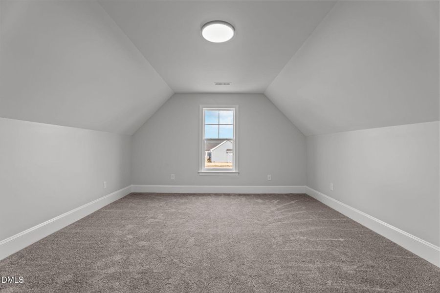 46-web-or-mls-DSC00866