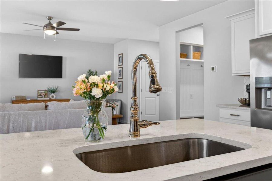 Close-up of interior finishes inside a home in Windsor Crossing, North Charleston (Image 21).