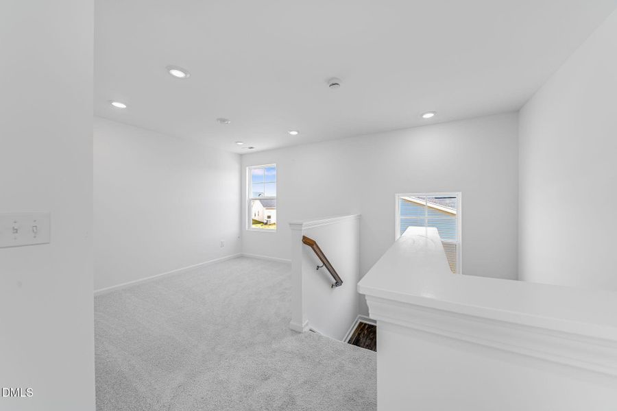 SUN_MyrtleMeadows_Pic_BrunswickIII-16