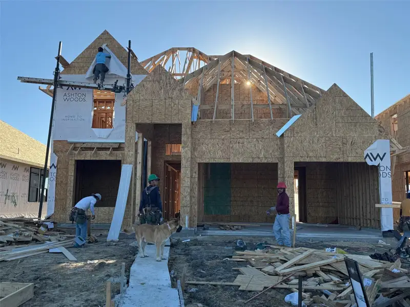 Actual progress of your home