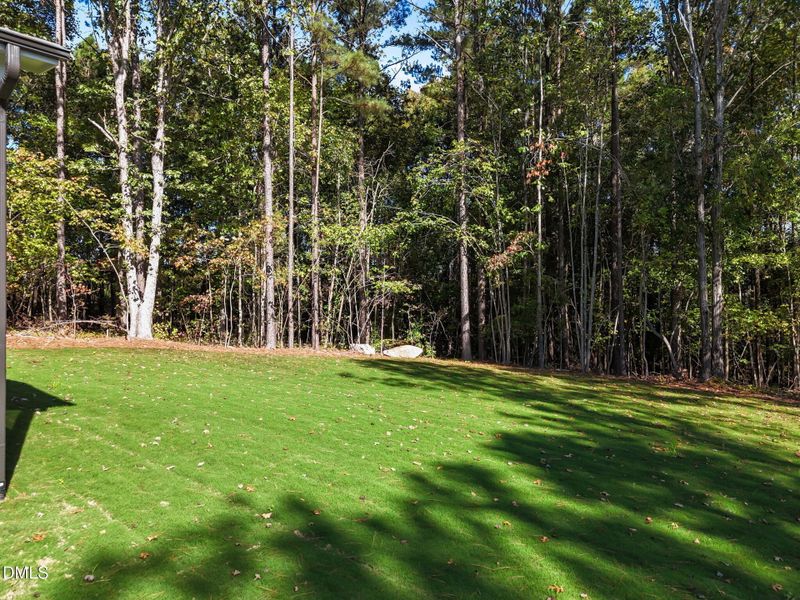 8-web-or-mls-DJI_20251007232505_0494_D