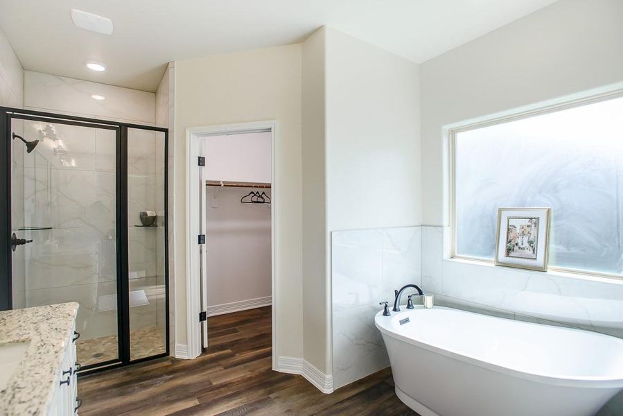 Bathroom with a freestanding tub, a shower stall, a spacious closet, wood finished floors, and vanity Bathroom with a freestanding tub, a shower stall, a spacious closet, wood finished floors, and vanity