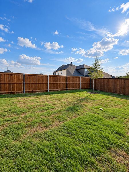 Backyard