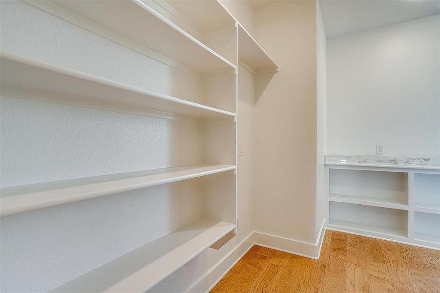 Walk in closet featuring light hardwood / wood-style flooring