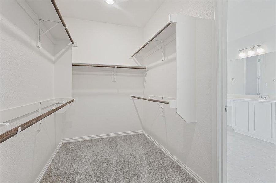 Walk in closet with light colored carpet