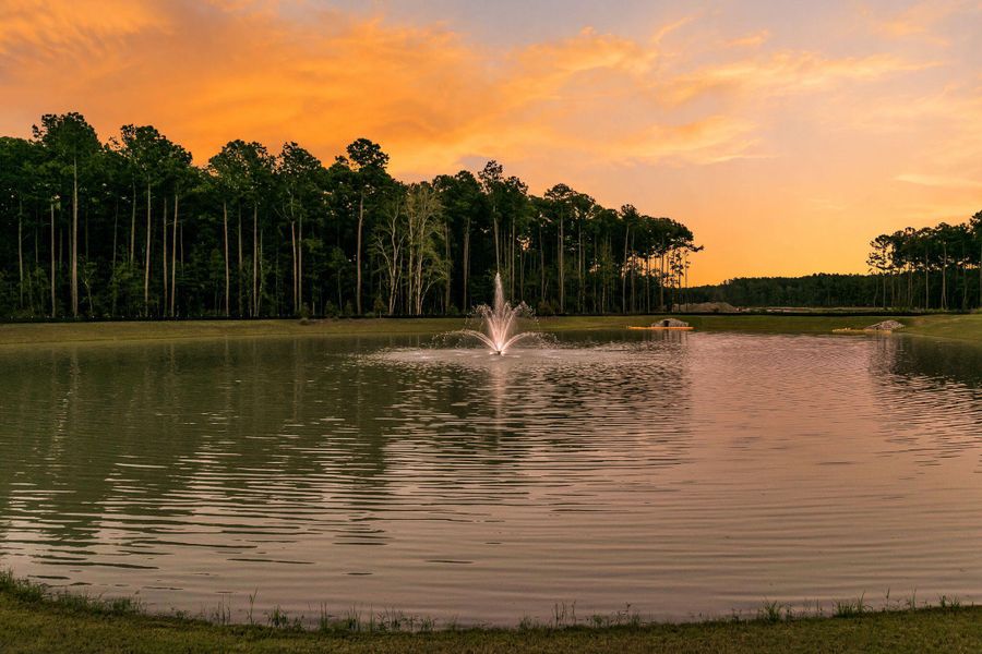 Natural landscape and outdoor views near  in Summerville (Image 49).