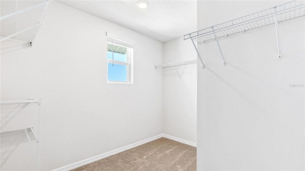 Spacious, unfurnished interior of a new home in Star Farms at Lakewood Ranch, Lakewood Ranch (Image 21).