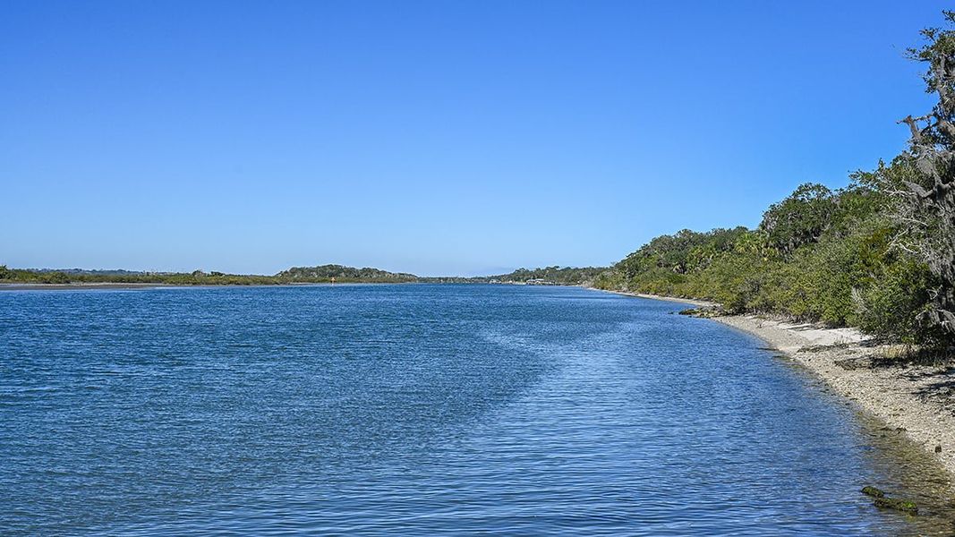 Natural landscape and outdoor views near Colbert Landings in Palm Coast (Image 100).
