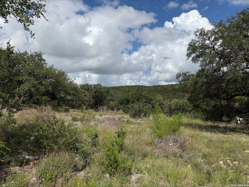 Natural landscape and outdoor views near  in New Braunfels (Image 11).