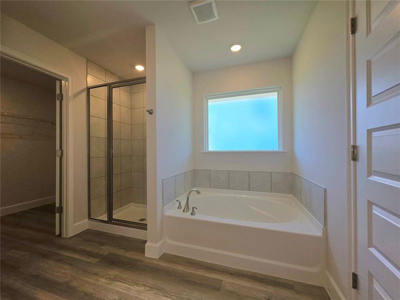 Furnished interior view inside a new home in The Preserve at Laurel Lake, Lake City (Image 14).