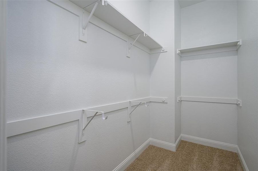 2 Walk in closets in Primary room  featuring carpet floors