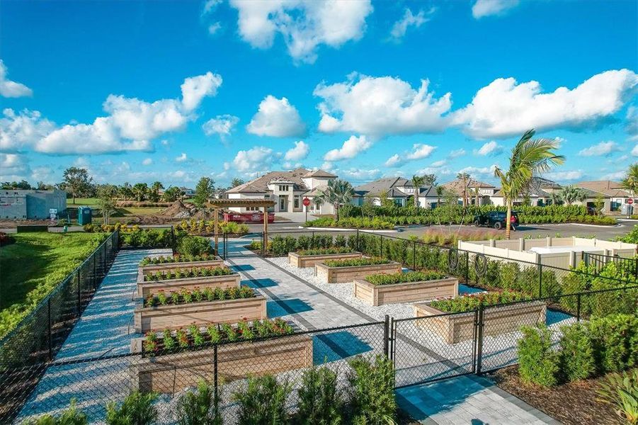 Community amenities in Esplanade at Azario Lakewood Ranch, Bradenton (Image 49).
