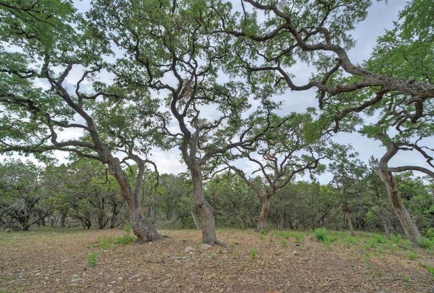 Natural landscape and outdoor views near in Austin (Image 18). Natural landscape and outdoor views near in Austin (Image 18).