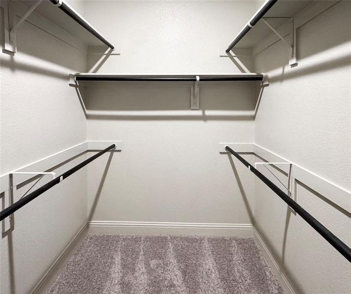 Walk in closet featuring carpet floors