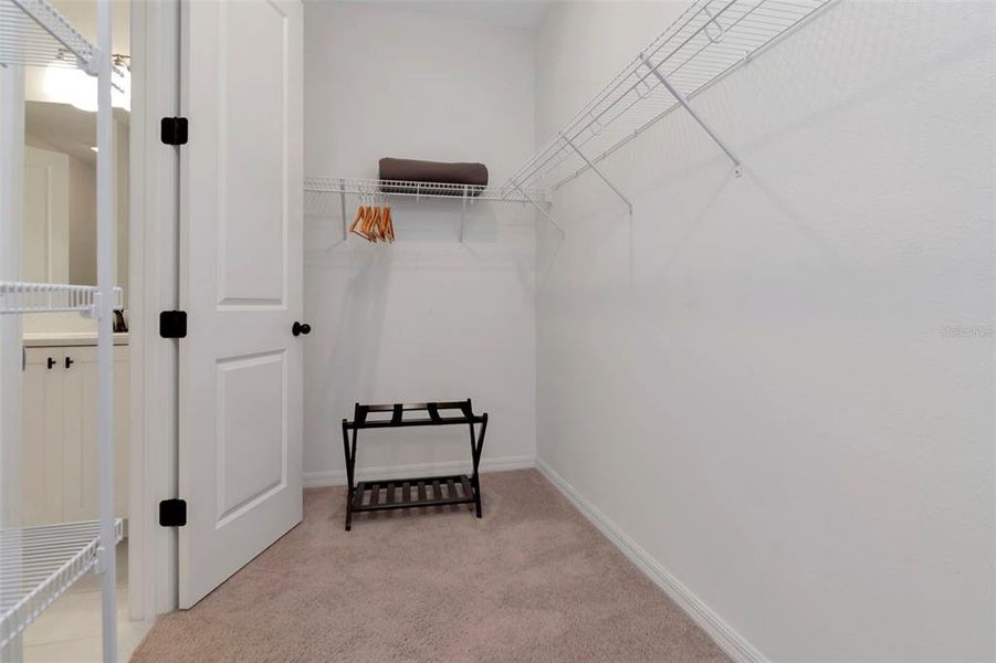 Spacious, unfurnished interior of a new home in , Davenport (Image 20).