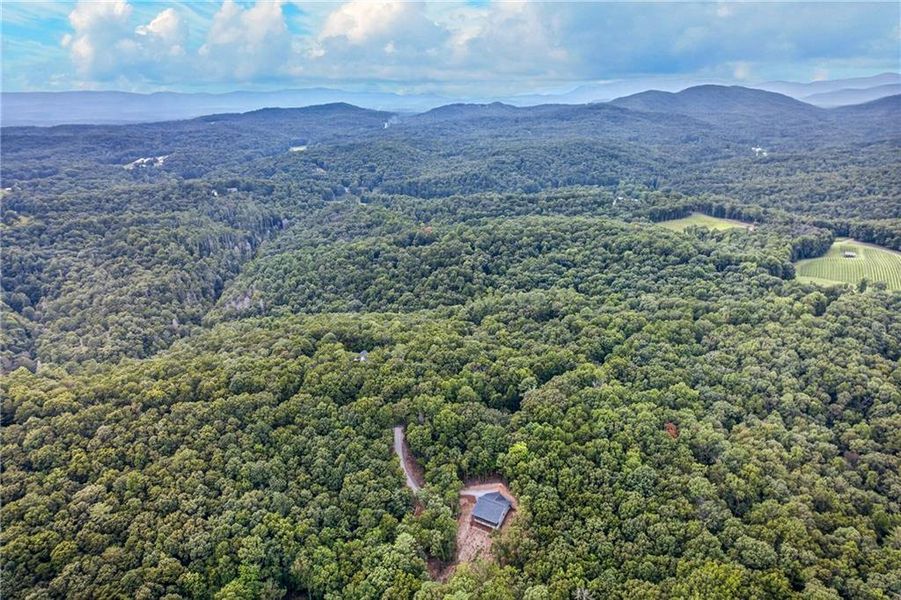 Natural landscape and outdoor views near  in Ellijay (Image 50).