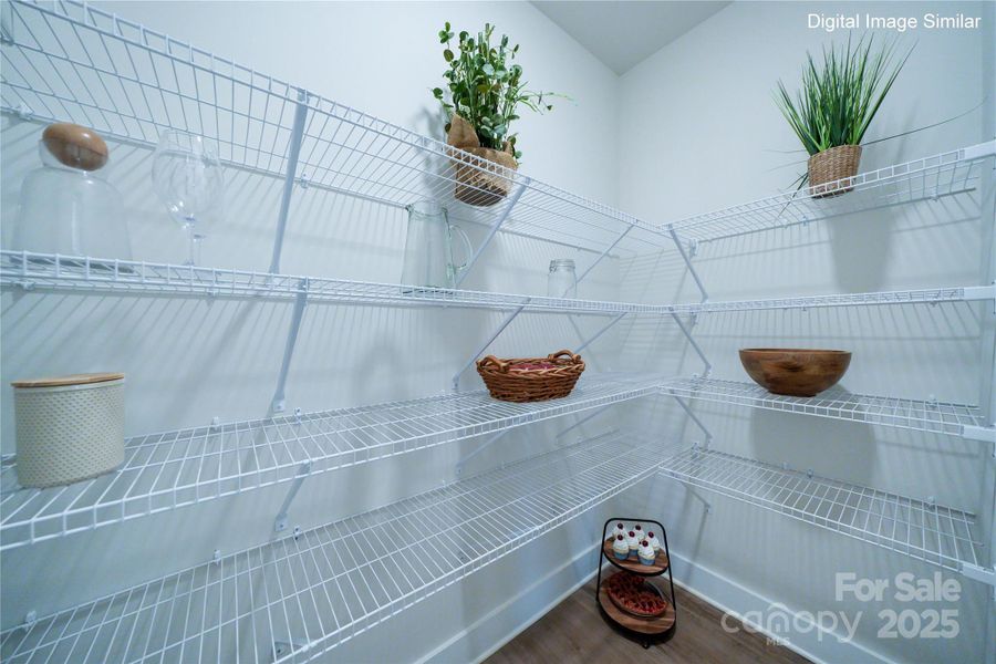 Digital Image Similar - Walk-In Pantry