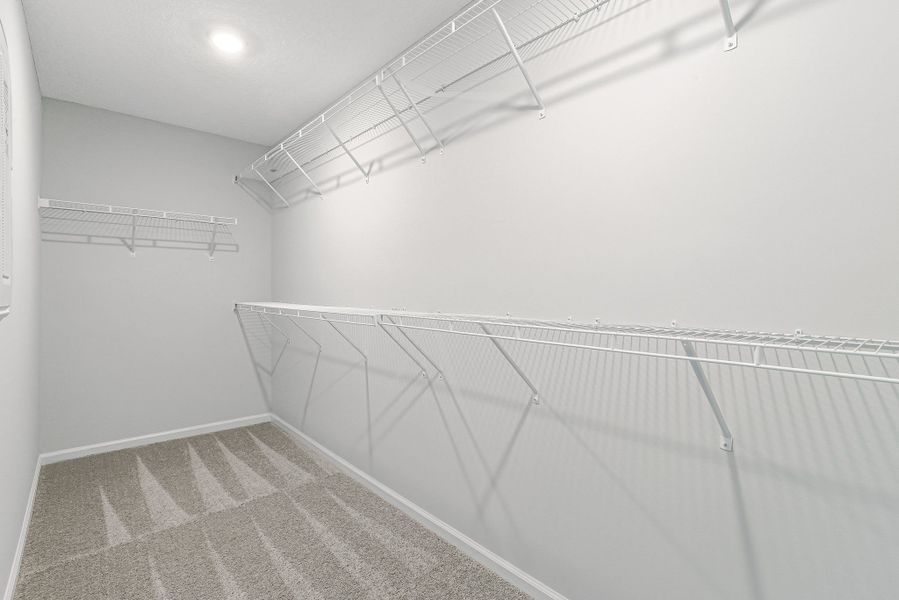 SEDA Weatherby SEDA Weatherby