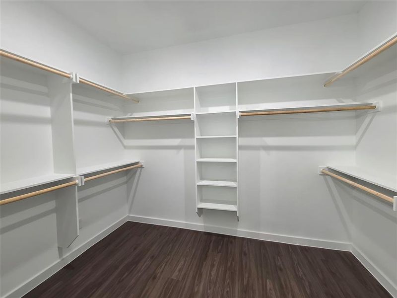 Walk in closet with dark hardwood / wood-style floors