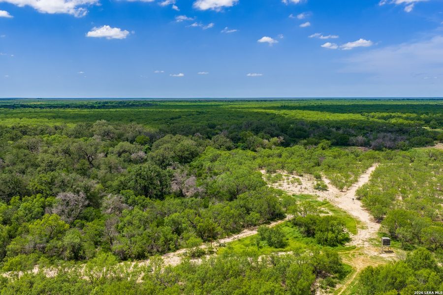 Natural landscape and outdoor views near  in Crystal City (Image 37).