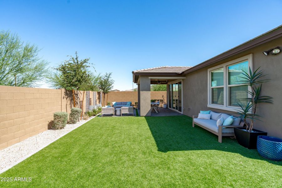 Backyard View Backyard View