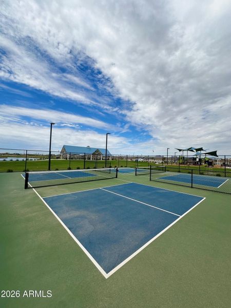 Pickle Ball Pickle Ball