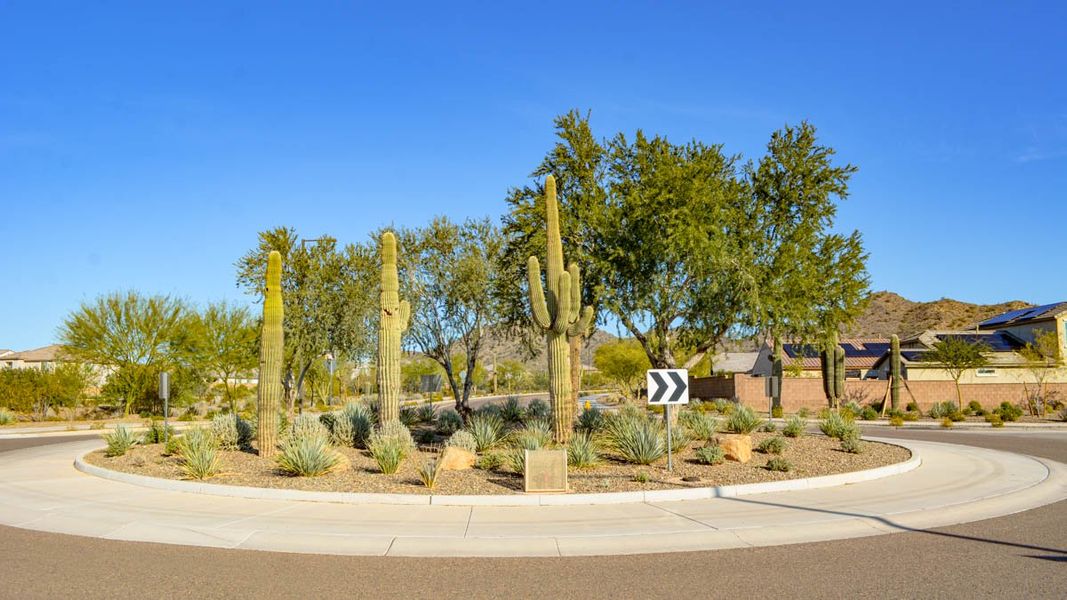 Community amenities associated with the Amherst by D.R. Horton in Aloravita, Peoria (Image 18).