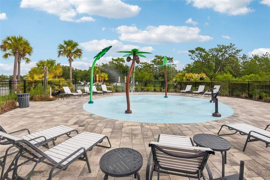 Community amenities in , Wesley Chapel (Image 33). Community amenities in , Wesley Chapel (Image 33).