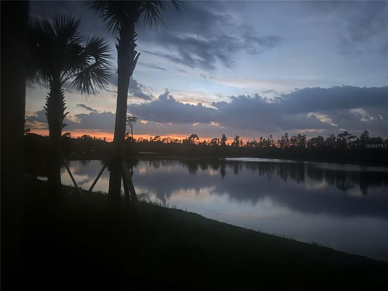 Natural landscape and outdoor views near  in Punta Gorda (Image 40).